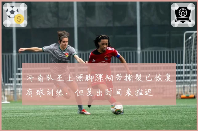 河南队王上源脚踝韧带撕裂已恢复有球训练，但复出时间表推迟