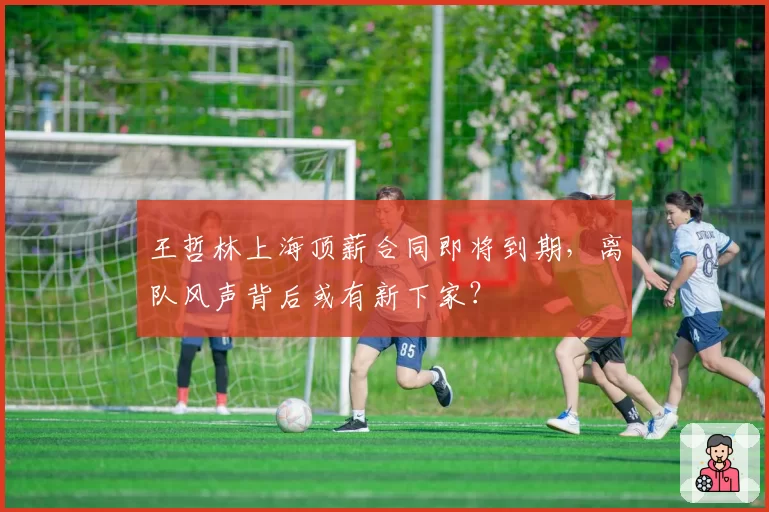 王哲林上海顶薪合同即将到期，离队风声背后或有新下家？