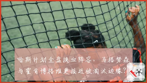 哈斯计划全盘换血阵容，马格努森与霍肯博格谁更接近被淘汰边缘？
