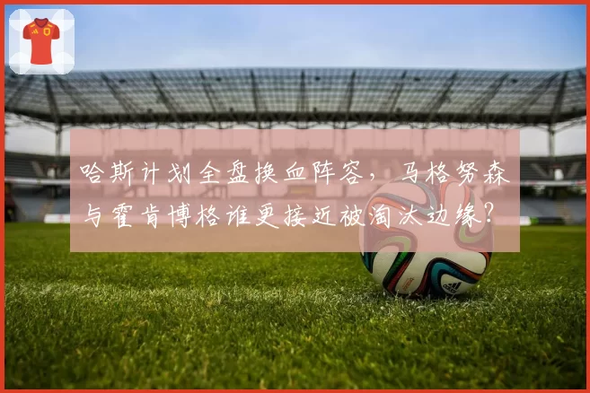 哈斯计划全盘换血阵容，马格努森与霍肯博格谁更接近被淘汰边缘？