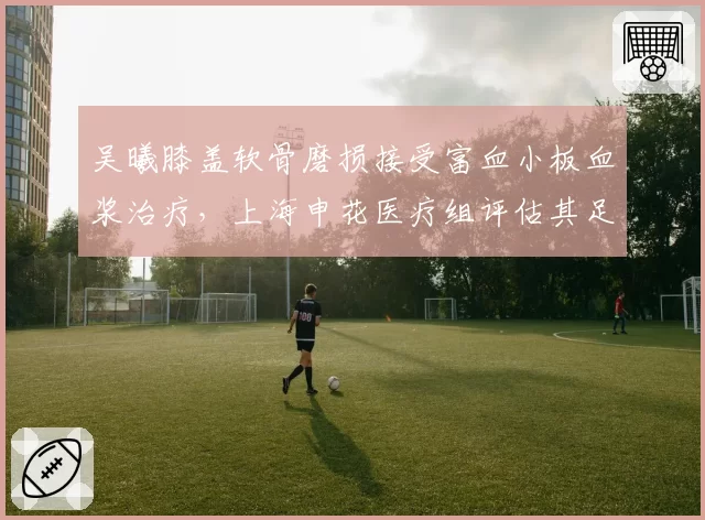 吴曦膝盖软骨磨损接受富血小板血浆治疗，上海申花医疗组评估其足协杯半决赛复出概率